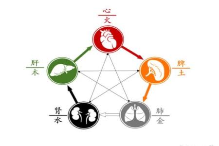 探索六个字五行命理的奥秘与未来