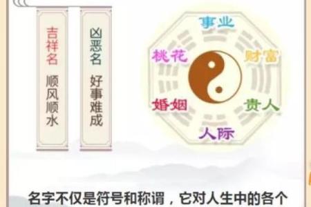 揭秘1997年牛年出生女性的五行命理与人生运势