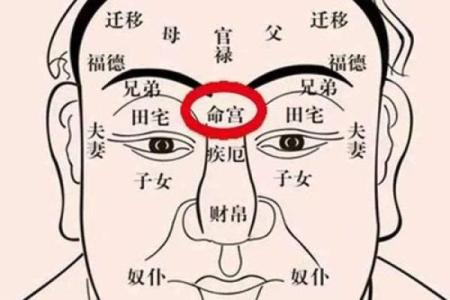 探秘路旁土命与他命的奇妙关系：命理中的归属与相生相克
