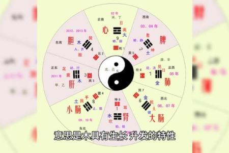 木命与五行相生：寻找最配命理的奥秘