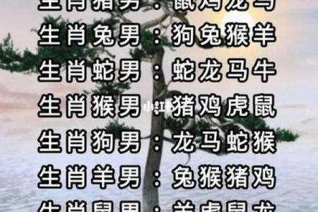 偏财格男命的最佳配对与命理解析