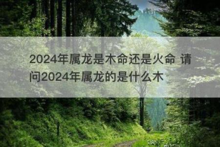 如何为木命人取一个富有水土之气的名字