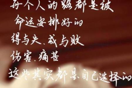 六月初九女孩的命运分析：性格与人生之路探秘