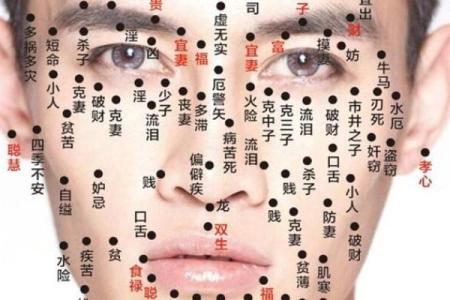 探索女命异性缘的奥秘：从命宫看你的爱情运势