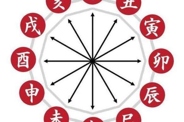 理命与气命:探讨生命的两种维度与影响力 理命与气命:探讨生命的两种维度与影响力