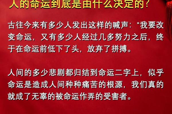 脾气决定命运:探索性格与生活的内在关联 脾气决定命运:探索性格与生活的内在关联