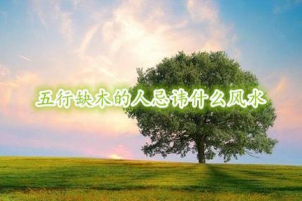 如何提升木命的运势?五大秘诀助你逆袭人生! 如何提升木命的运势?五大秘诀助你逆袭人生!
