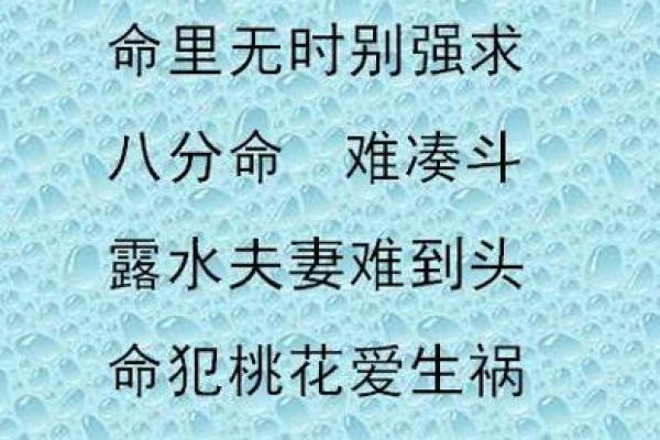 满命与两命的深刻解读:人生与命运的交织之路 满命与两命的深刻解读:人生与命运的交织之路