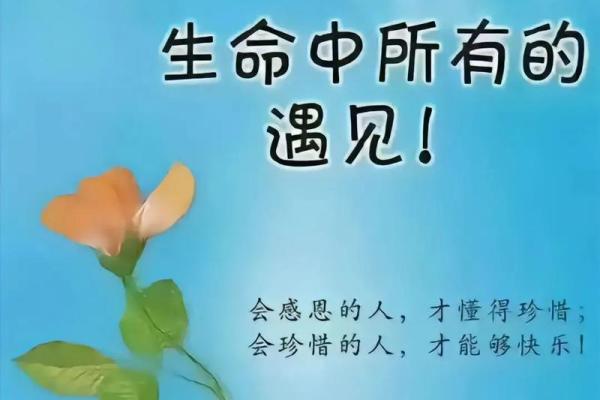 生命的可贵:无人胜过其重要性与价值 生命的可贵:无人胜过其重要性与价值