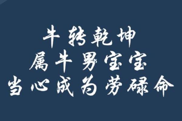 牛年正月出生的命运与职业发展:揭秘最佳人生选择 牛年正月出生的命运与职业发展:揭秘最佳人生选择