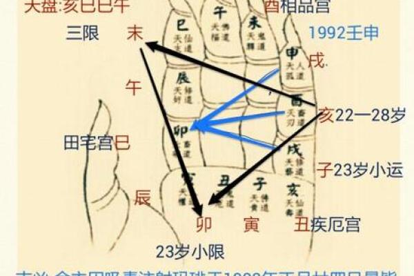 探究九四年十月三号的命格奥秘 探究九四年十月三号的命格奥秘