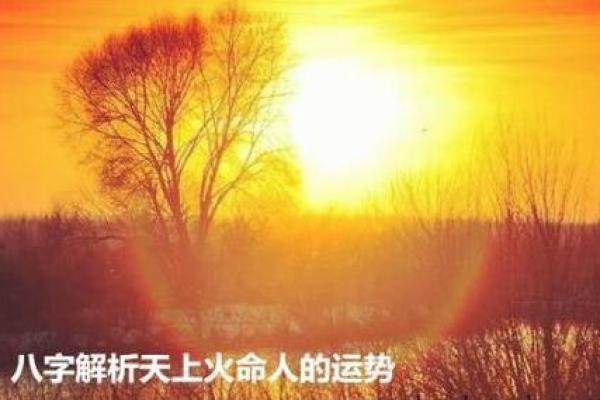 探索命理的奥秘:命1与命4的深刻意涵解析 探索命理的奥秘:命1与命4的深刻意涵解析