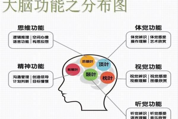 六命之后五命的深刻解读与人生启示 六命之后五命的深刻解读与人生启示
