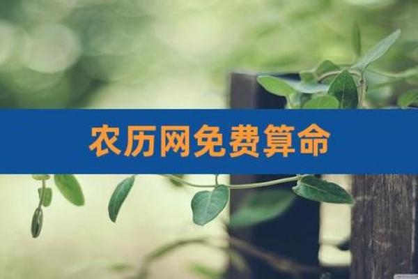 探索农历十几二十:命理背后的秘密与启示 探索农历十几二十:命理背后的秘密与启示