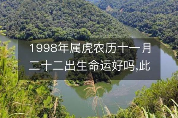 2024年虎年:看命理如何解析明年运势与生活智慧 2024年虎年:看命理如何解析明年运势与生活智慧
