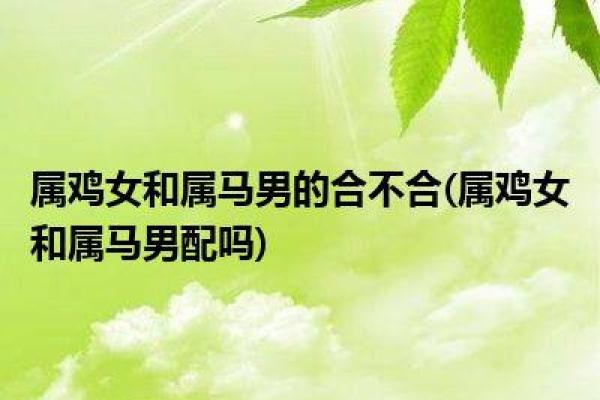 揭示属鸡女性命理:智慧与魅力的完美结合 揭示属鸡女性命理:智慧与魅力的完美结合