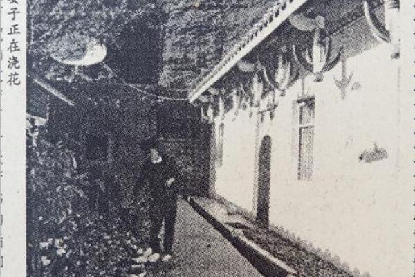 木魂生辉:解读命名中“木”字的深远意义与人生启示 木魂生辉:解读命名中“木”字的深远意义与人生启示