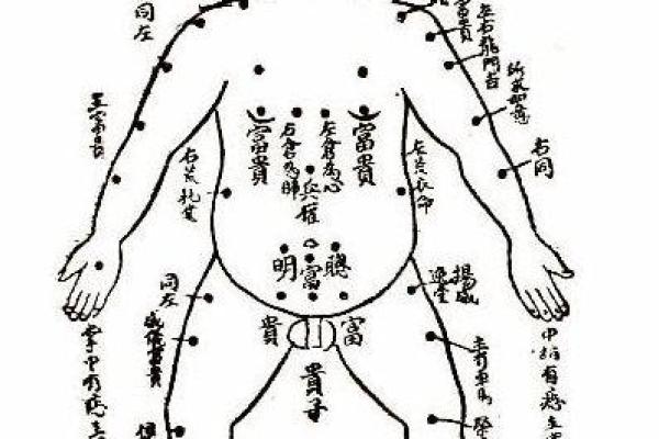 六月出生的孩子命理解析:夏日宝宝的命运与特点 六月出生的孩子命理解析:夏日宝宝的命运与特点