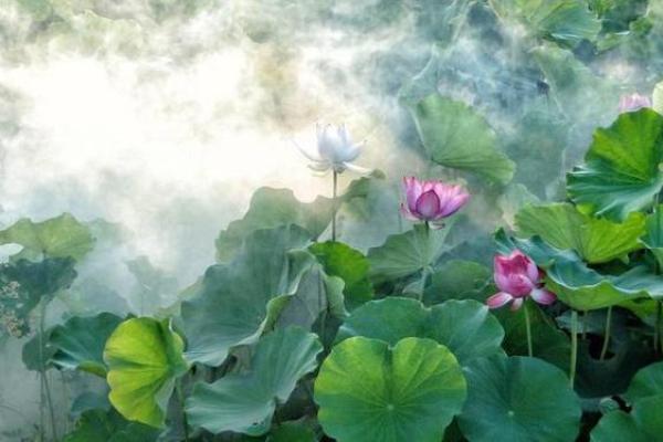 命理中的财帛宫与太岁的深刻含义解析 命理中的财帛宫与太岁的深刻含义解析