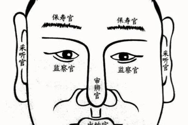 命格辰垣的深意解析:探索命理与人生运势的奥秘 命格辰垣的深意解析:探索命理与人生运势的奥秘
