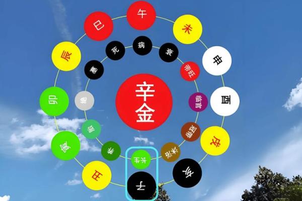 龙男金命与哪些命相配最佳?探寻命理学中的理想组合 龙男金命与哪些命相配最佳?探寻命理学中的理想组合