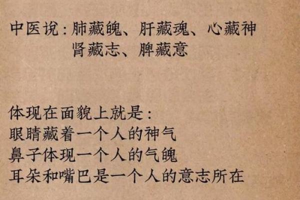 女人相貌与聪明命运的辩证关系探讨 女人相貌与聪明命运的辩证关系探讨