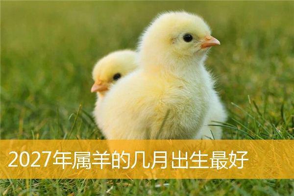 命不强的男人与属羊的魅力探讨 命不强的男人与属羊的魅力探讨