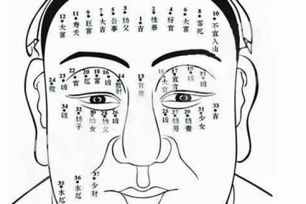 眉毛与财富:解读女人眉型的命运密码 眉毛与财富:解读女人眉型的命运密码