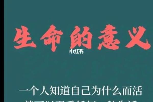 女命无财无印,如何解读人生的潜在意义? 女命无财无印,如何解读人生的潜在意义?
