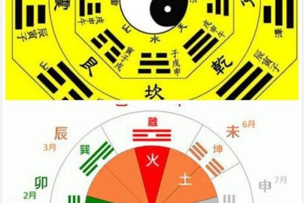 马的命属性与五行的神秘关联:如何解读你的命理 马的命属性与五行的神秘关联:如何解读你的命理