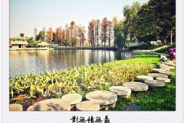 命运的阴霾:解析运气不好的深层含义与应对策略 命运的阴霾:解析运气不好的深层含义与应对策略