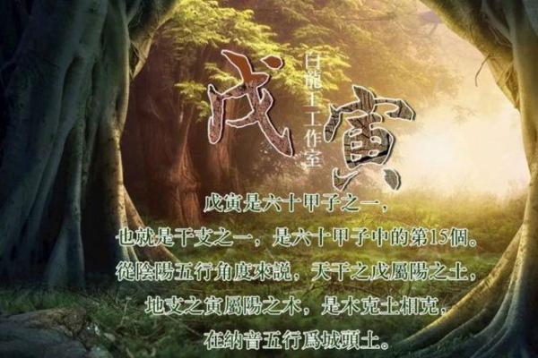 六五年出生的学生命运解析:他们的特质与挑战 六五年出生的学生命运解析:他们的特质与挑战