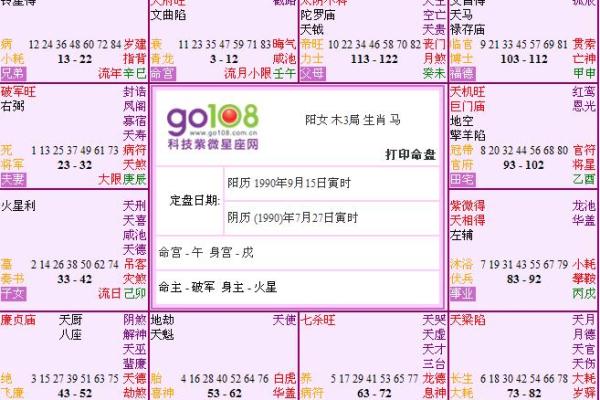 探索命盘的秘密:解读个人命运与性格的钥匙 探索命盘的秘密:解读个人命运与性格的钥匙