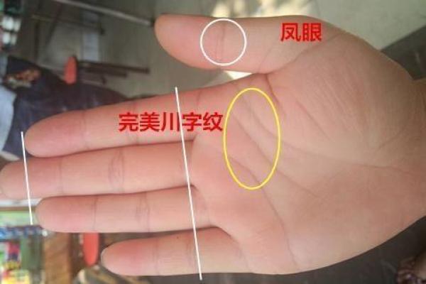女生左手川字纹的命运解析:揭开你心中的秘密 女生左手川字纹的命运解析:揭开你心中的秘密