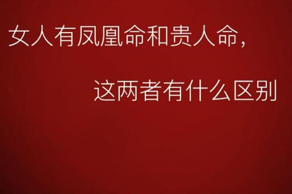 母命之中命:命运与母亲之间的深刻联系 母命之中命:命运与母亲之间的深刻联系