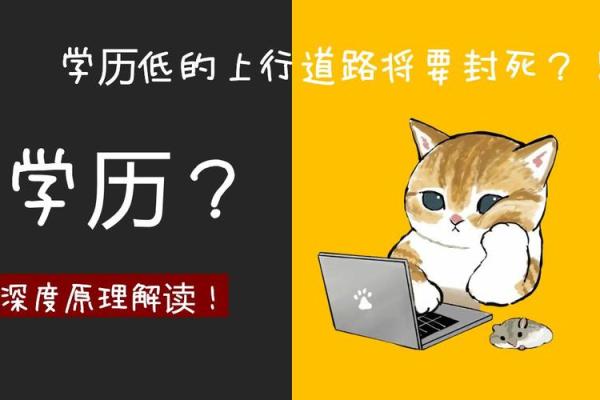 女命日柱孤寡的深层解读与命运影响 女命日柱孤寡的深层解读与命运影响