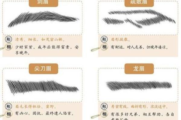 眉毛浓厚的男人命运解读 眉型与性格、运势的密切关系 眉毛浓厚的男人命运解读 眉型与性格、运势的密切关系