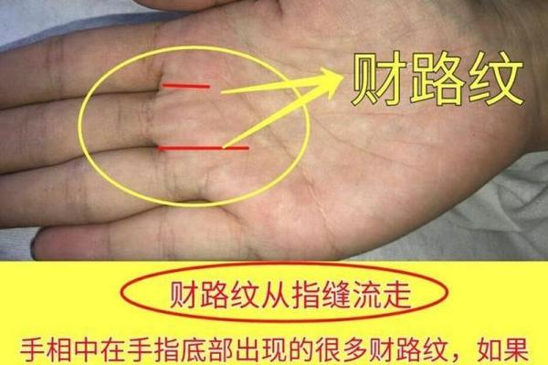 胖的人有财吗?揭秘胖人命理与财富的关系! 胖的人有财吗?揭秘胖人命理与财富的关系!