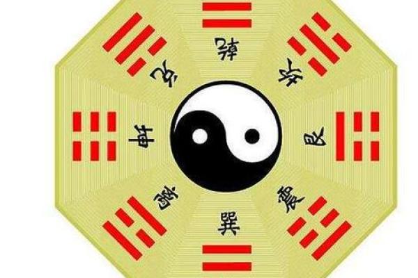 女人心脏在右边的命运:科学与命理的奇妙结合 女人心脏在右边的命运:科学与命理的奇妙结合