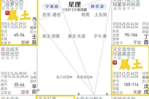 桃花星旺盛,情缘不断:命盘中的爱与魅力探秘 桃花星旺盛,情缘不断:命盘中的爱与魅力探秘
