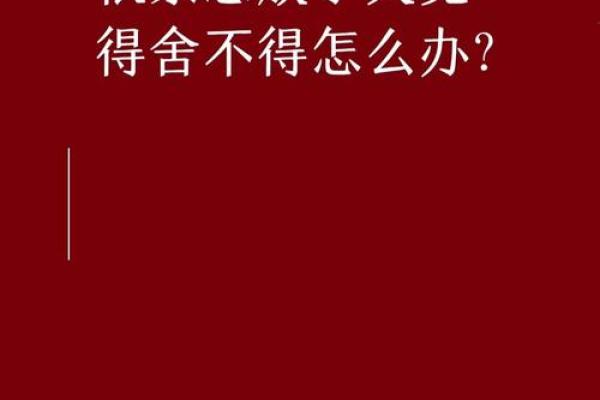 探寻木命之美:理想伴侣与性格特征的完美融合 探寻木命之美:理想伴侣与性格特征的完美融合