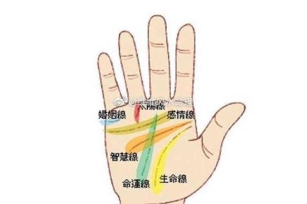208位命理解析:揭开命运的神秘面纱,了解你的命理运势 208位命理解析:揭开命运的神秘面纱,了解你的命理运势