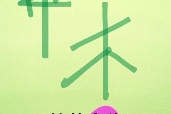 路过土命的神秘与命理解析:揭示五行中的土元素 路过土命的神秘与命理解析:揭示五行中的土元素