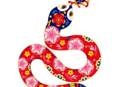 揭秘命运：夜猫子与生肖的奇妙关联！