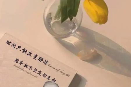 在狂风暴雨中拼搏，生死一线的勇气与希望