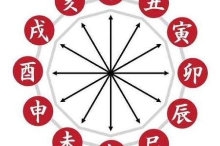 理命与气命：探讨生命的两种维度与影响力