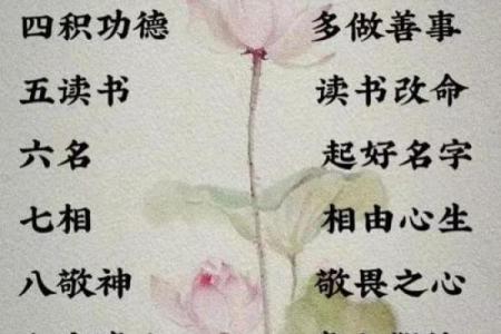 探秘命理的奥秘：如何通过命理解析自我与未来