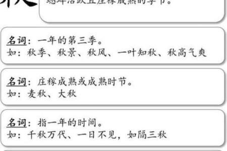 男性龙凤命的深刻含义与生活影响解析