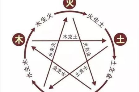 木命与水命之色彩选择：让生活更添生机与活力