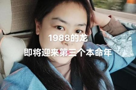 六月出生的龙命：赋予命运的独特魅力与智慧